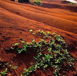 《浪人崛起》1.09.0.1版本更新 提升游戏稳定性